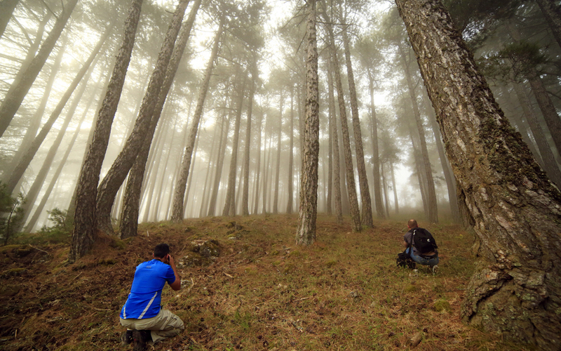 TALLER FOTOGRAFIA DE OTOÑO EN RIOPAR