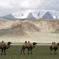 AVENTURA FOTOGRÁFICA EN MONGOLIA